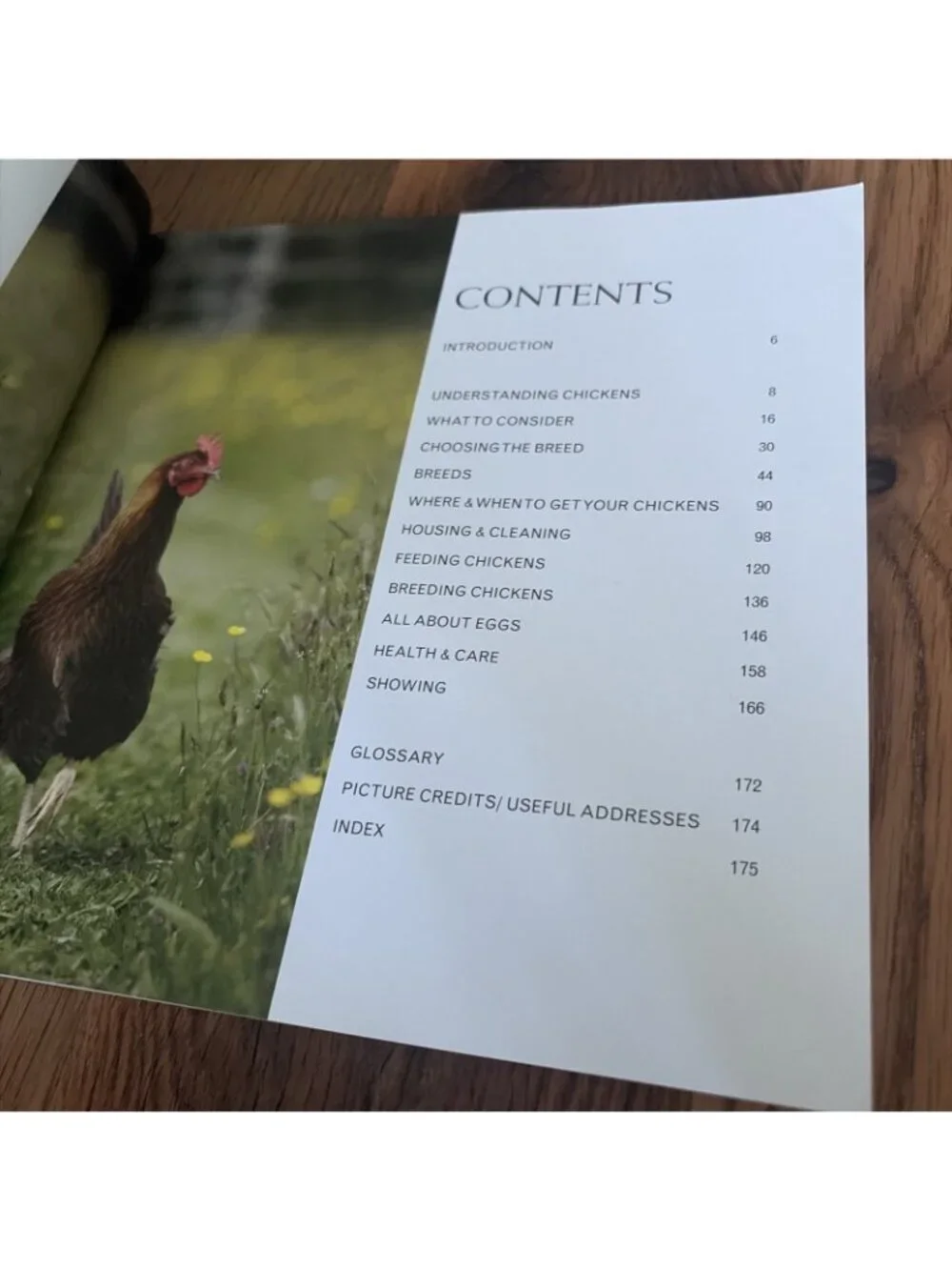 Keeping Chickens : Getting the Best from Your Chickens by Jeremy Hobson and...